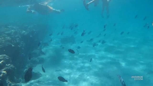 Long Beach Resort 4*. Пирс отеля. Hurgada. Египет. AVKdz.