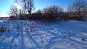 ТРОПЛЕНИЕ ЗАЙЦА ЗИМОЙ 2022! Охота на зайца по снегу с Отцом