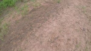 РЫБАЛКА НА РЕКЕ ПЛЮССА!!!