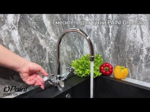 Смеситель для кухни PAINI Ornellaia, хром (CR)