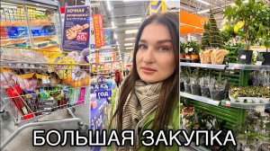 Закупка продуктов. Гипермаркет Лента. Чек на 19000 рублей.