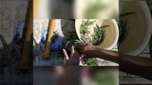 Мастер класс «Секреты заготовки и ферментации иван чая»