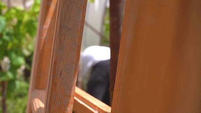 Жизнь Молодого семьи в Деревне Азербайджане
