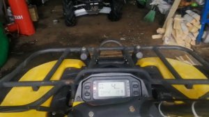 POLAR FOX XY500