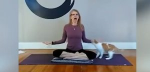 Смешные приколы #41