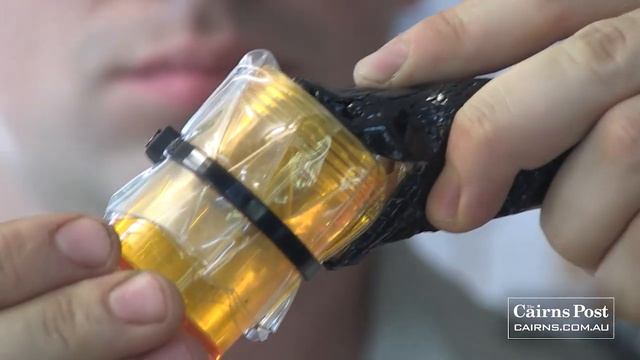 The world's most venomous snake - Milking the Inland Taipan смотреть онлайн