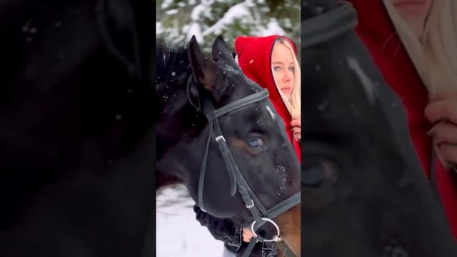 Красивое видео в зимнем лесу верхом на лошади