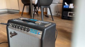 Test clean: Fender '68 Custom Vibro Champ Reverb