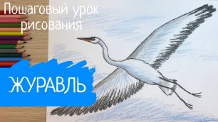 Журавль рисунок Птица рисунок карандашом легкий Летящая птица рисунок Перелетная птица
