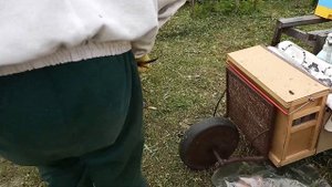 Быстрый ОТВОДОК ПЧЁЛ ! Вырезаем МАТОЧНИК ! Как вырезать маточник пчелы и вставить в сот в отводок !