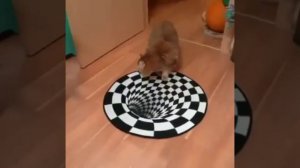 Реакция разных животных на оптическую иллюзию