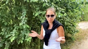 МШИНСКАЯ. "ШЕСТЬ СОТОК НА БОЛОТЕ" И НЕ ТОЛЬКО!
