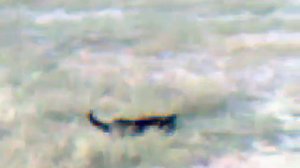 озеро Красное в Красноперекопске Крым