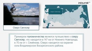 Миграции населения в России Инфоурок