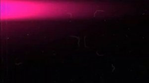 | Hotline Miami | Jacket  | Richard |  edit |