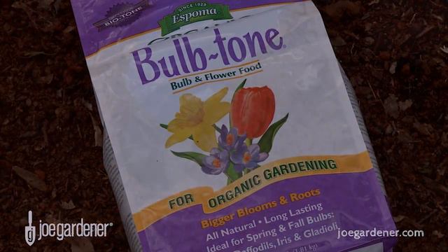 How to Plant and Protect Flower Bulbs