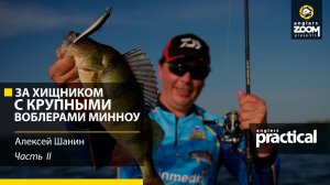 За хищником с крупными воблерами - минноу. Алексей Шанин. Часть 2. Anglers Practiсal