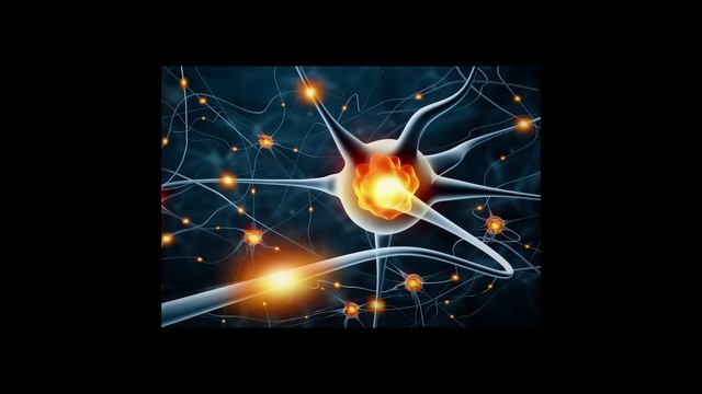 Your Colors Suck (it's not your fault) смотреть онлайн