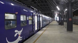 Эл.-поезд ЭП2Д-0109 "ЦППК" (ТЧ-14) скоростной пригородный поезд "РЭКС" №7104 Одинцово - Москва.