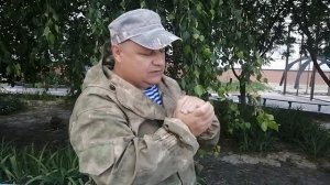 Подражание звукам животных и птиц воркование голубя
