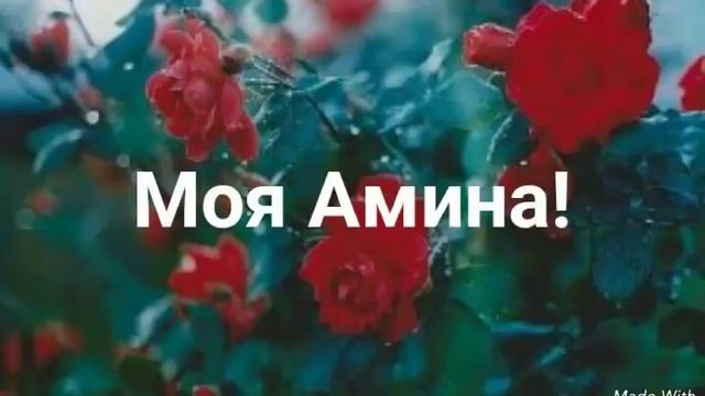 Моя Амина смотреть онлайн