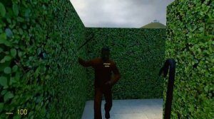 МУЛЬТЯШНЫЙ КОТ В ЛАБИРИНТЕ! ОПАСНЫЙ SCP ОХОТИТСЯ НА НАС! ВЫБРАТЬСЯ ИЗ ЛАБИРИНТА ЖИВЫМ В Garry`s Mod