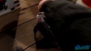 Можно ли отапливать гараж тепловой пушкой?