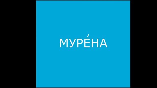 Морские и океанские обитатели. Обучающее видео для детей всех возрастов