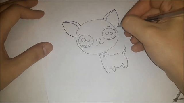 Как нарисовать милую собаку Чихуахуа? Лёгкие рисунки для срисовки