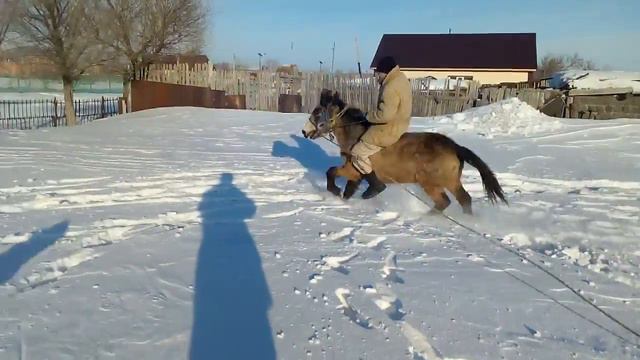 Асау уйрету.Аксу—Аюлы.Укi смотреть онлайн