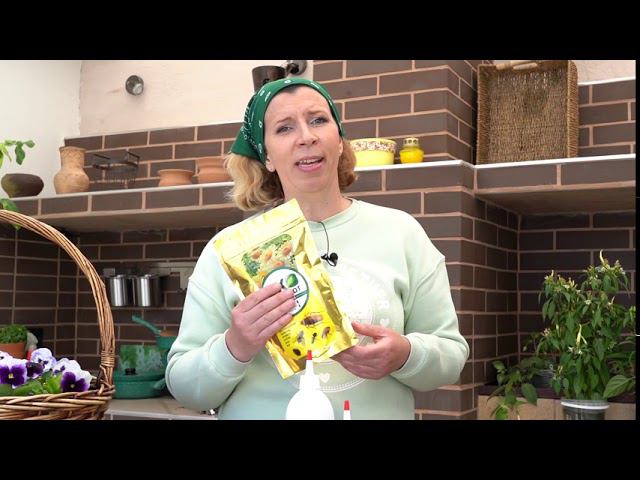 Эко порошок от муравьев - натуральный продукт! смотреть онлайн