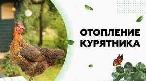 Обогрев курятника для кур.  Никатэн.