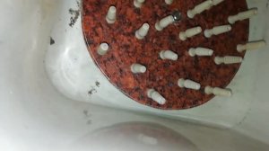 Перосъемная (перощипальная) машина из стиральной машинки Ока-55 своими руками.