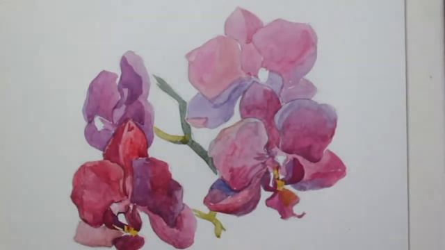 Рисуем орхидею гуашью смотреть онлайн