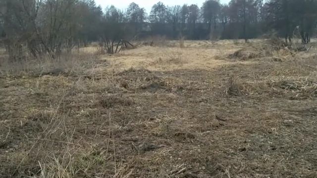 Разведка с AKA Sorex PRO.Места где копают археологи смотреть онлайн