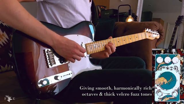 Forest Effects Fauna Mk II Fuzz Pedal