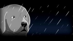 История до слез про собаку