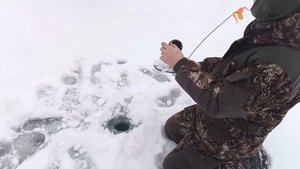 ЗИМНЯЯ ЖЕРЛИЦА. Ловля КРУПНОЙ ЩУКИ на жерлицы в островах.