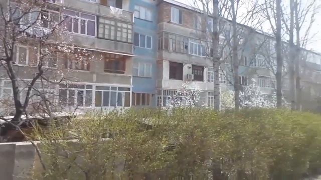 8-мкр-он в городе Худжанд Согдийская область Таджикистан ! #ПгтПролетарск