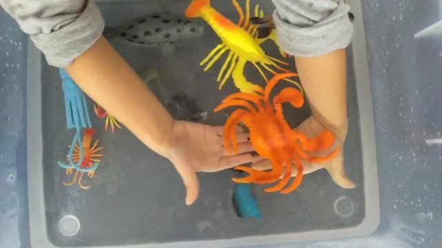 Купаем морских обитателей! Настоящие морские черепахи!!!