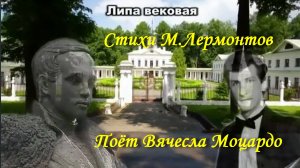 Липа вековая
