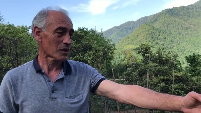 ЖИЗНЬ ВЫСОКО В ГОРАХ ГРУЗИИ. ДЕРЕВНЯ ВАРДЖАНУЛИ АДЖАРИЯ
