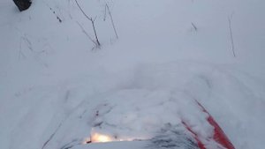 На снегоходе Рысь 440 по лесу один