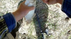 Рыбалка на СТРАННУЮ ПРИКОРМКУ для Карася. Ловля карася в сентябре 2018