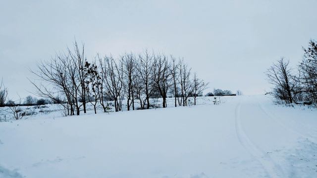 18 декабря-ДЕНЬ САВВЫ.Почему желательно остаться дома