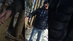 Про ананизм