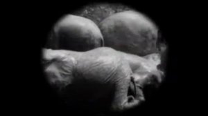 O Teatro de Grupo segundo Luiz Carlos Moreira (Engenho Teatral)