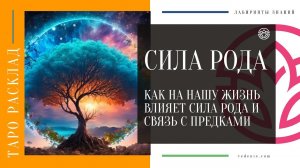 СИЛА РОДА. Как на нашу жизнь влияет сила рода и связь с предками