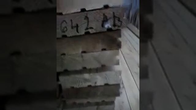 ПОЛОВАЯ ДОСКА ЛИСТВЕННИЦА КУПИТЬ http://listvennica-gost.pul.ru смотреть онлайн