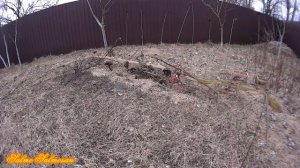 Лов співочих птахів на схованку. Ловля певчих птиц на тайник.